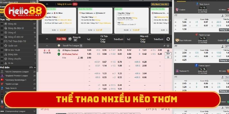 Thể thao nhiều kèo thơm